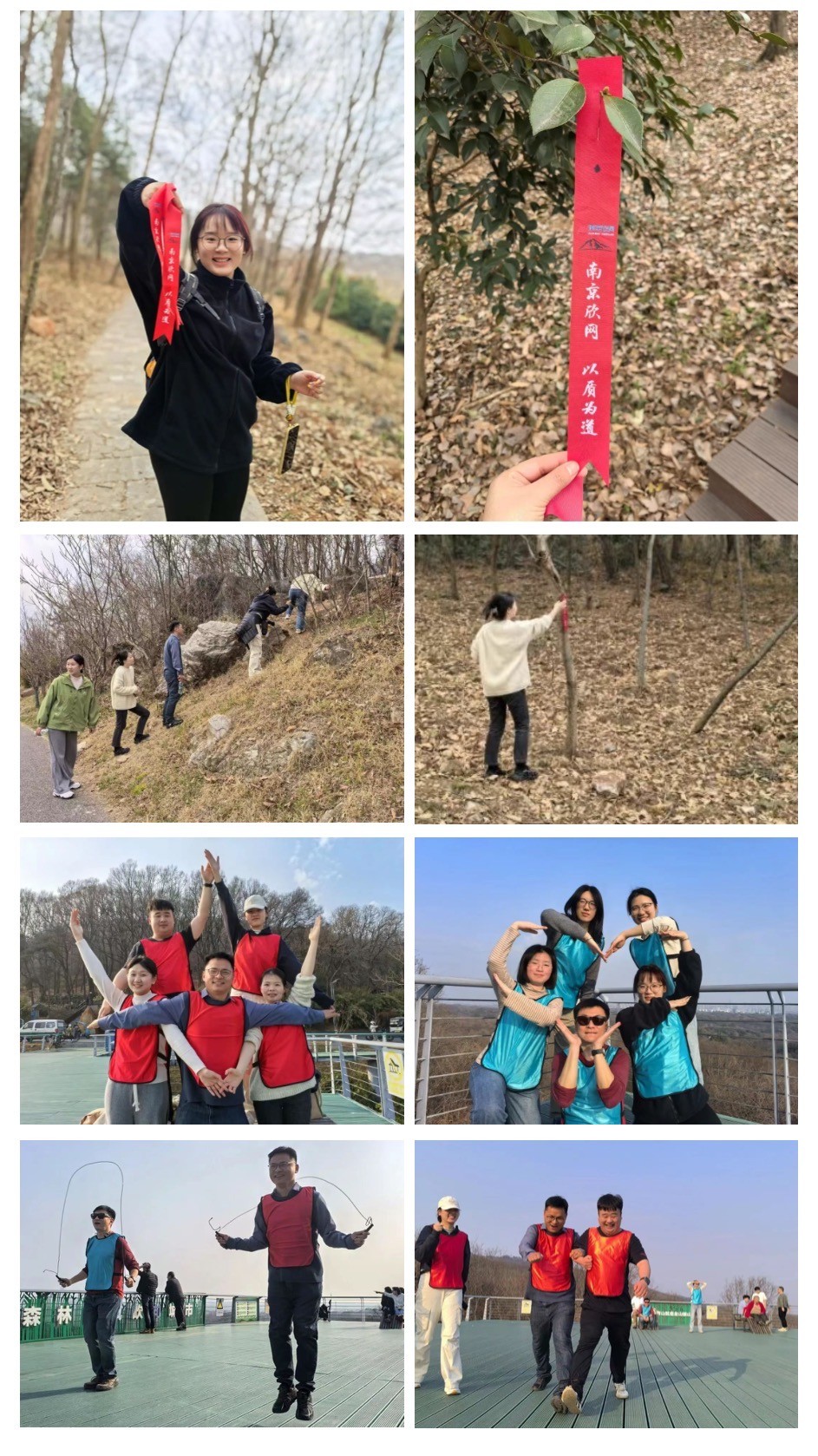 米乐网页版|米乐(中国)欣网|欣网通信